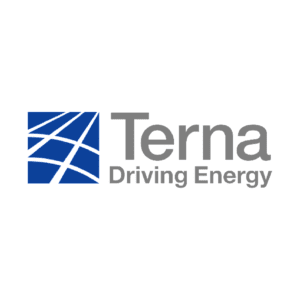 Terna logo