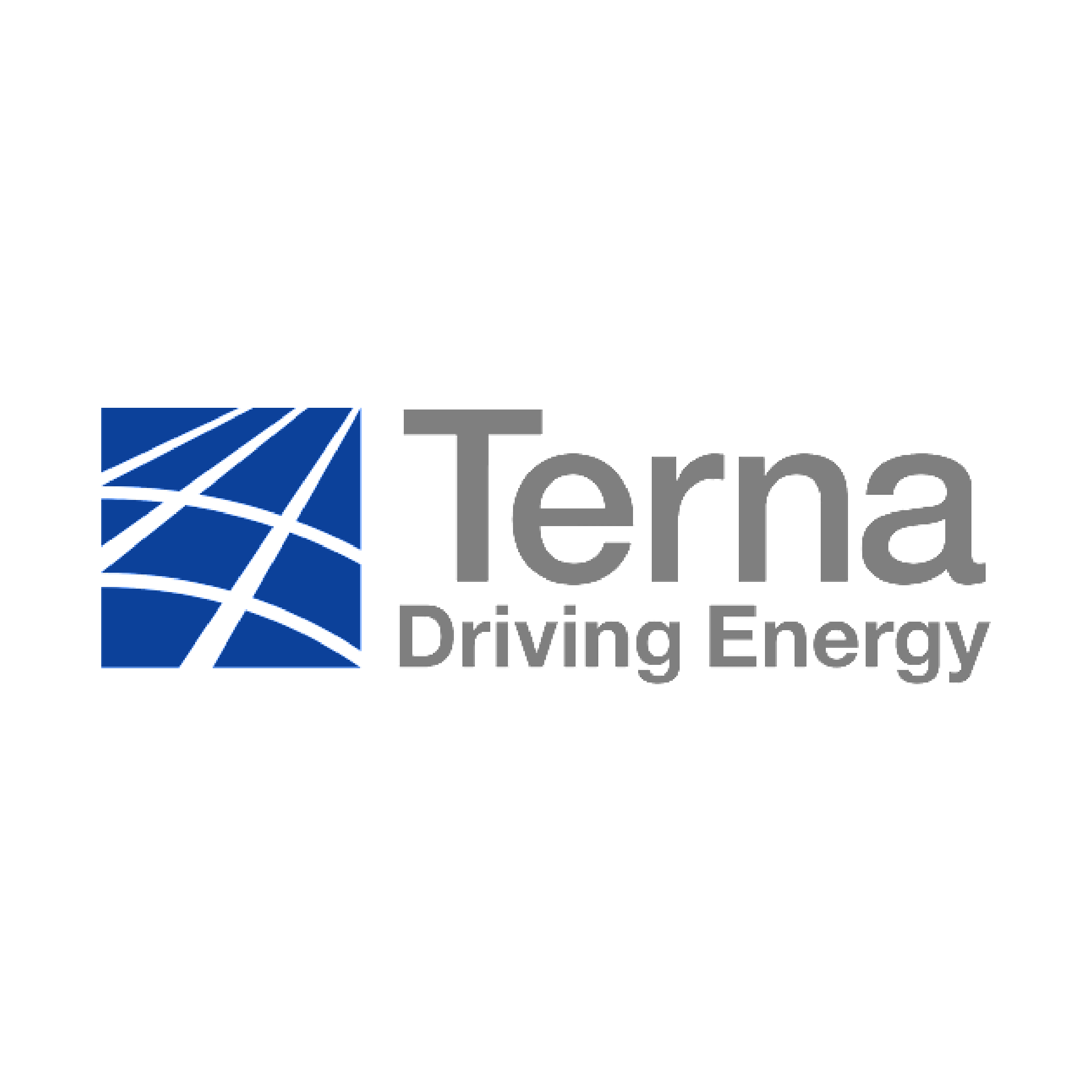 Terna logo